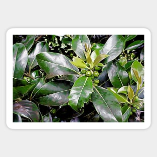 Holly Leaves Sticker